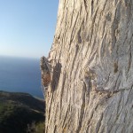 baum_0
