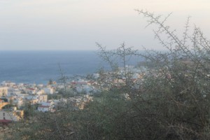 blick-aufs-meer