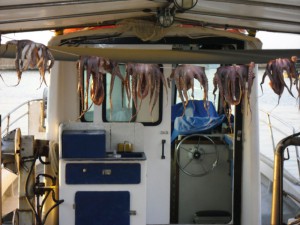 chania-schiff