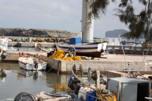 img_24251