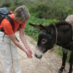Eselfütterung während Wanderung