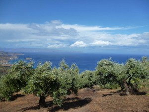 mohlos-mirsini