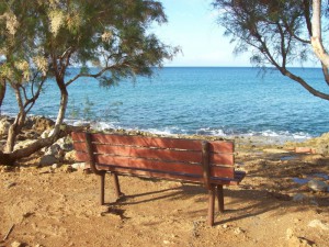 strand-stalida